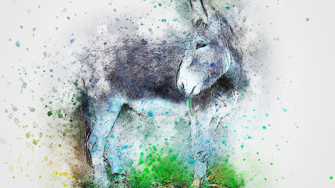 Diálogos de Benício, sábio burro manco de São José