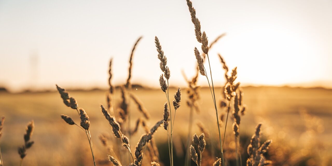 «O homem olha às aparências, Deus olha ao coração…»