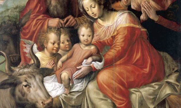 O encanto do Natal para todos